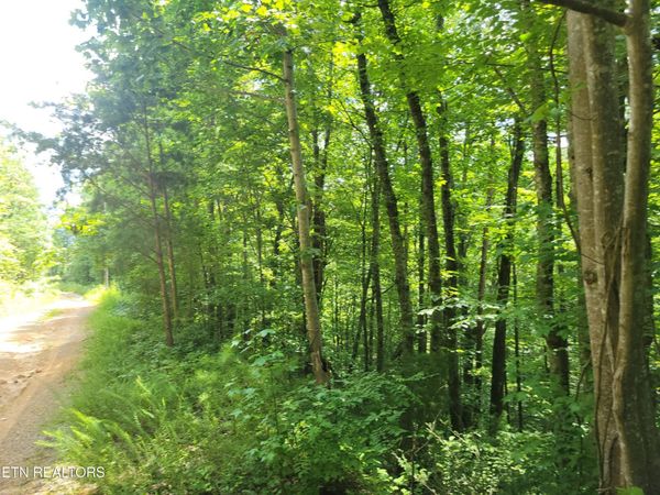81 Buttonwood Drive , Unit 81, Sevierville, TN 37876