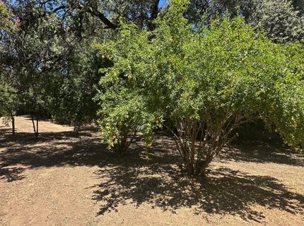 4151 Bonanza Way, Loomis, CA 95650 Photo