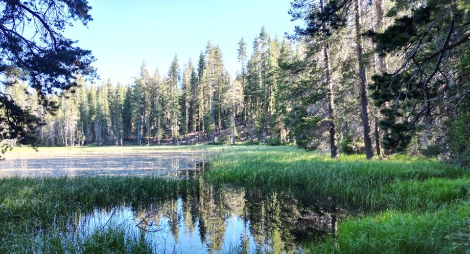 Forest 41 Rd, Soda Springs, CA 95728 Photo