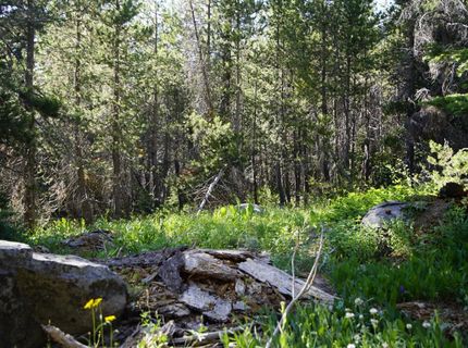 Forest 41 Rd, Soda Springs, CA 95728 Photo