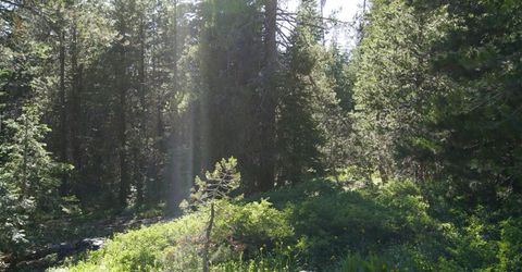 Forest 41 Rd, Soda Springs, CA 95728 Photo