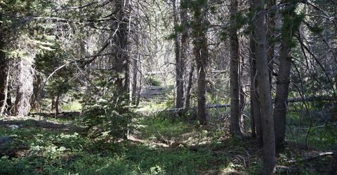 Forest 41 Rd, Soda Springs, CA 95728 Photo