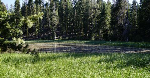 Forest 41 Rd, Soda Springs, CA 95728 Photo