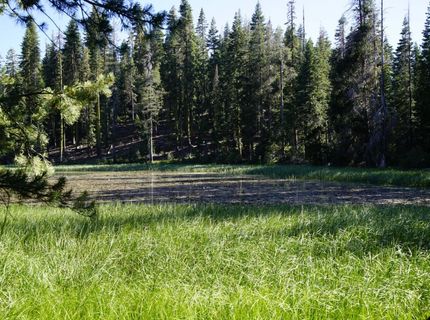 Forest 41 Rd, Soda Springs, CA 95728 Photo