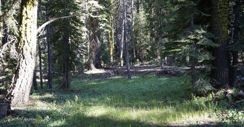 Forest 41 Rd, Soda Springs, CA 95728 Photo