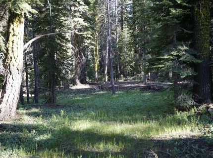 Forest 41 Rd, Soda Springs, CA 95728 Photo