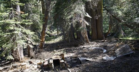 Forest 41 Rd, Soda Springs, CA 95728 Photo