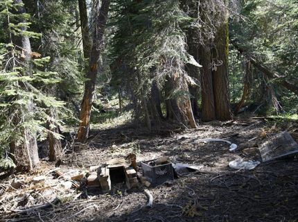 Forest 41 Rd, Soda Springs, CA 95728 Photo