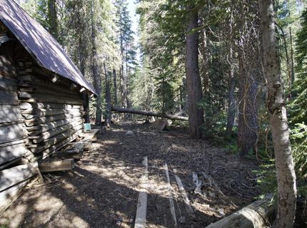 Forest 41 Rd, Soda Springs, CA 95728 Photo