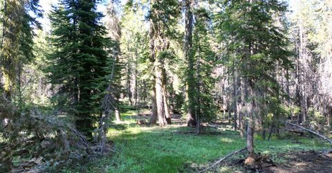 Forest 41 Rd, Soda Springs, CA 95728 Photo