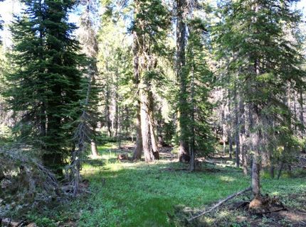 Forest 41 Rd, Soda Springs, CA 95728 Photo