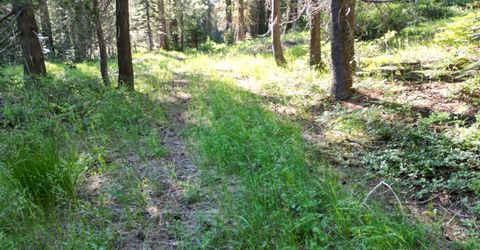 Forest 41 Rd, Soda Springs, CA 95728 Photo