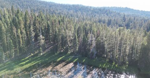 Forest 41 Rd, Soda Springs, CA 95728 Photo