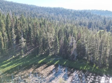 Forest 41 Rd, Soda Springs, CA 95728 Photo
