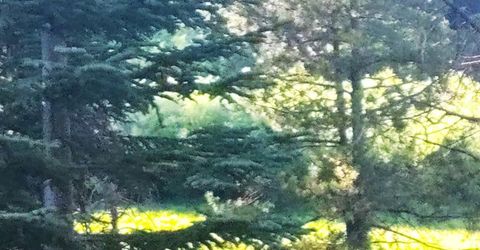 Forest 41 Rd, Soda Springs, CA 95728 Photo