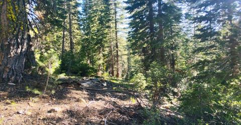 Forest 41 Rd, Soda Springs, CA 95728 Photo