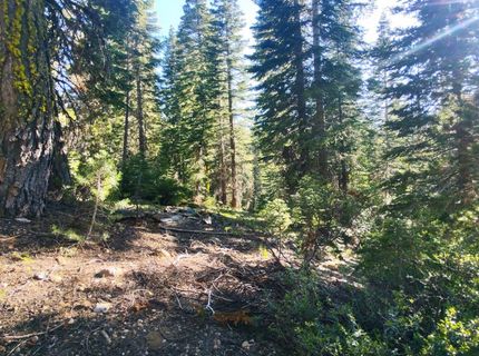 Forest 41 Rd, Soda Springs, CA 95728 Photo