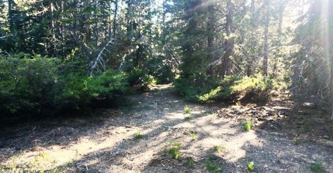 Forest 41 Rd, Soda Springs, CA 95728 Photo