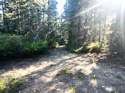 Forest 41 Rd, Soda Springs, CA 95728 Photo