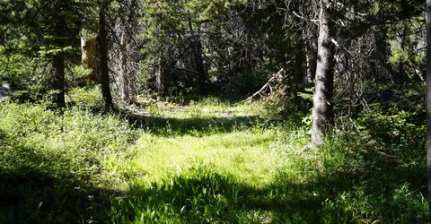 Forest 41 Rd, Soda Springs, CA 95728 Photo