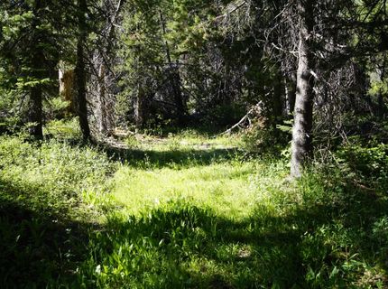 Forest 41 Rd, Soda Springs, CA 95728 Photo