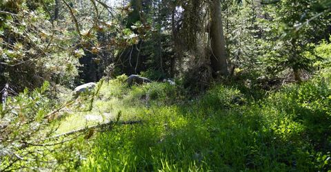 Forest 41 Rd, Soda Springs, CA 95728 Photo