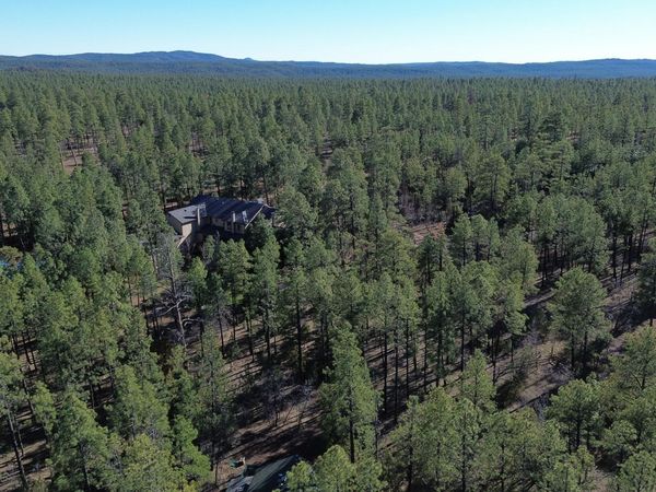 2849 S Timber PIne Lane, Unit 5, Pinetop-Lakeside, AZ 85929