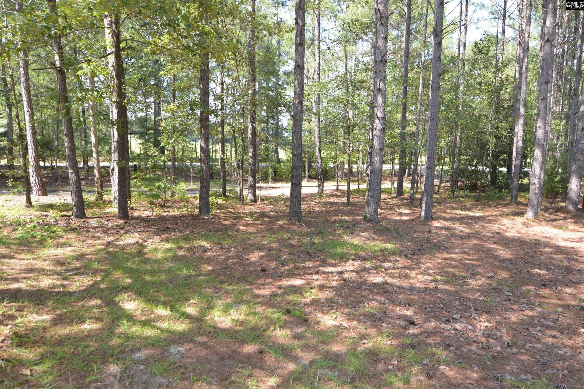 1885 Lake Elliot Road  Photo 18