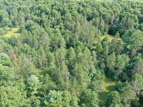 S13160 Camp Road, Fairchild, WI 54741