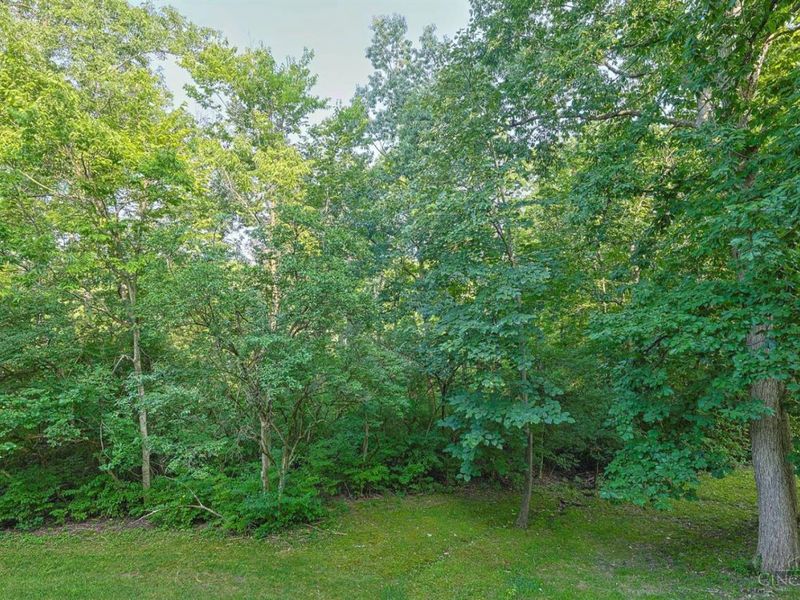 4911 N Arbor Woods Court, Unit 108, Green Township, OH 45248 Photo 41