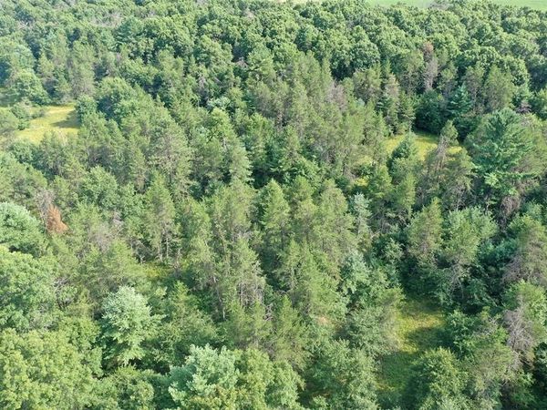 13160 S Camp Road, Fairchild, WI 54741