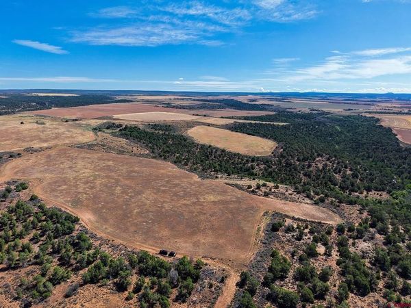11068 HWY 491, Dove Creek, CO 81324