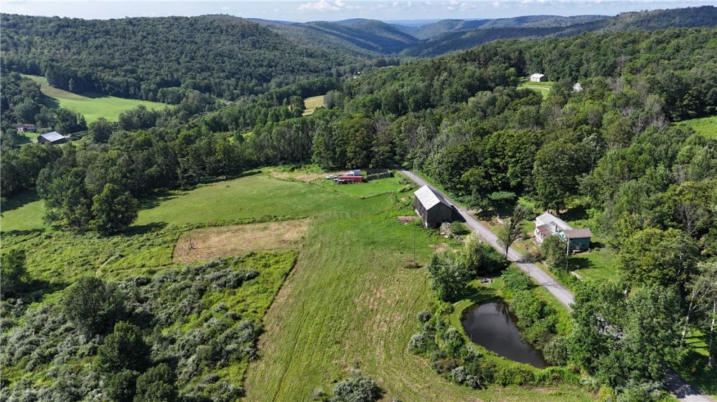 833 Biffar Road, Long Eddy, NY 12760 Main Photo