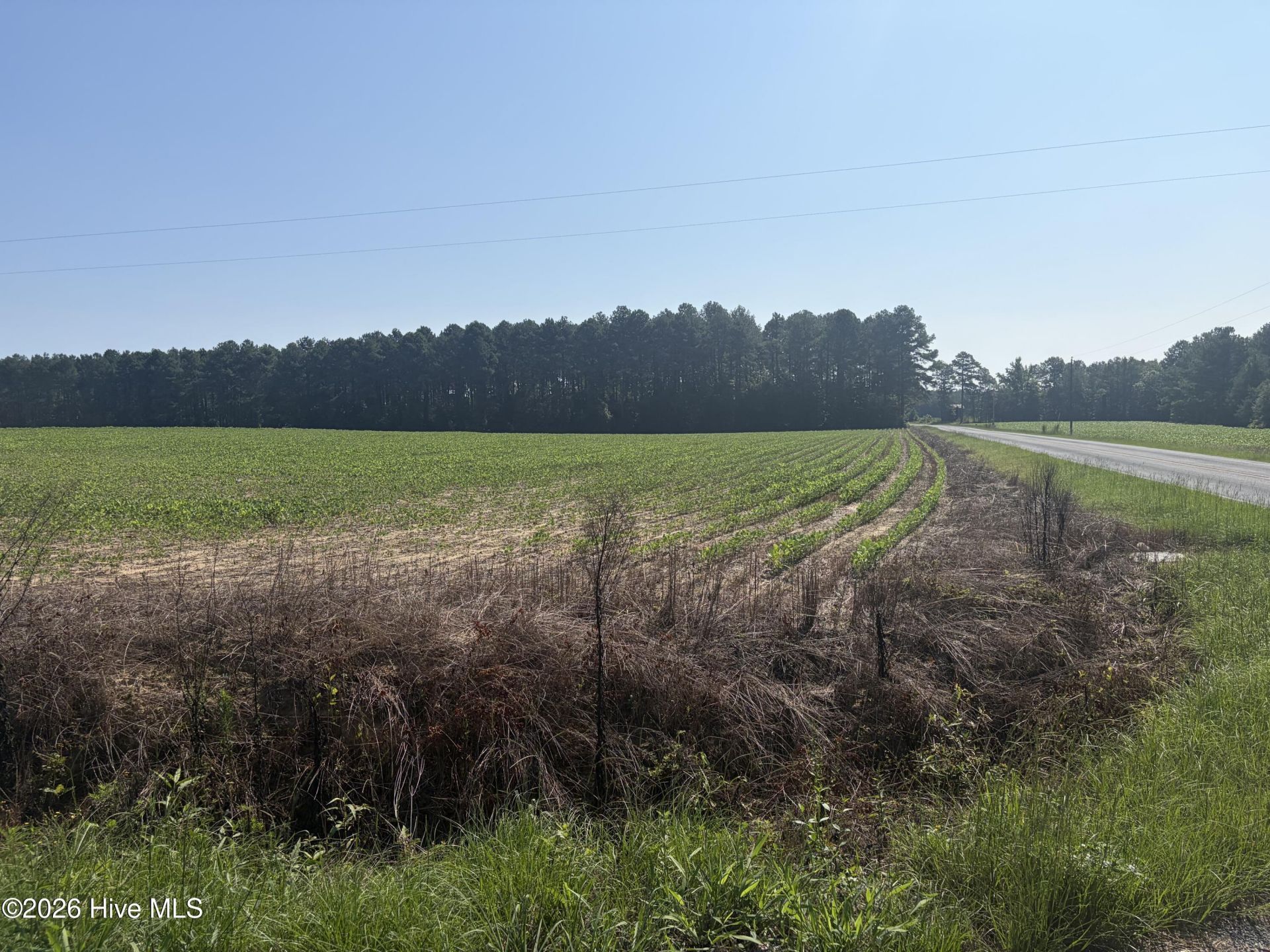 Tbd Bella Bridge Road, Broadway, NC 27505 Main Photo