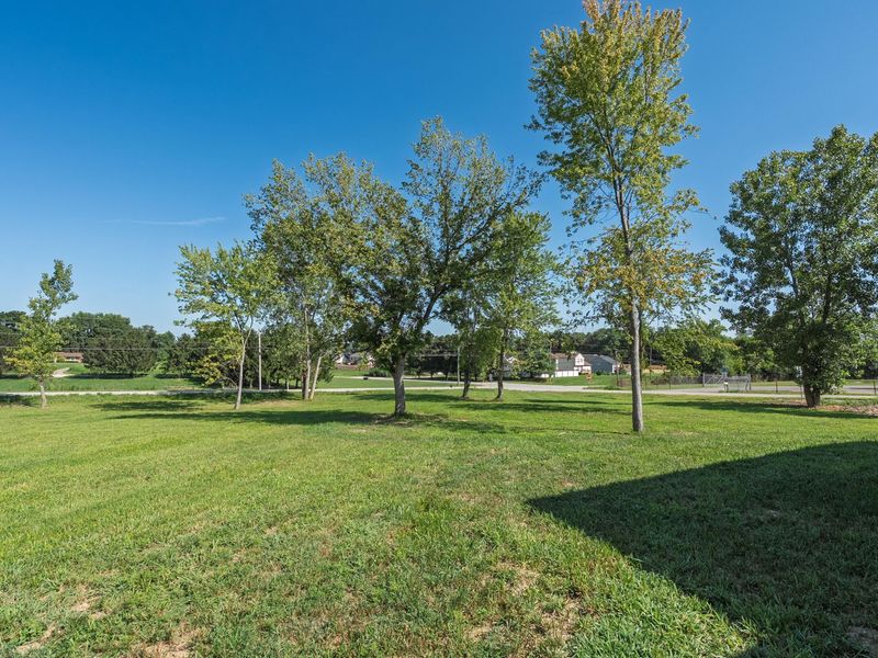 6 Kentucky 455, Warsaw, KY 41095 Photo 8