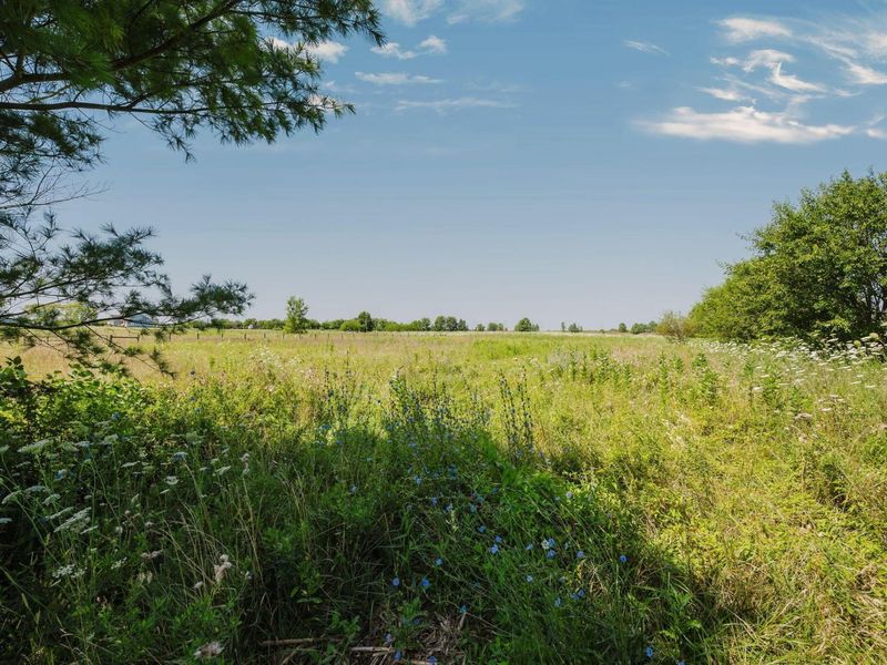 3965 N Section Line Road , Radnor, OH 43066 Photo 115