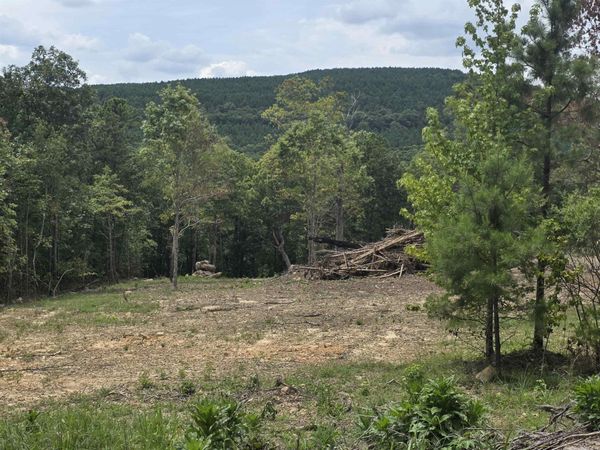 Lot 9 Scenic View , Edgemont, AR 72044
