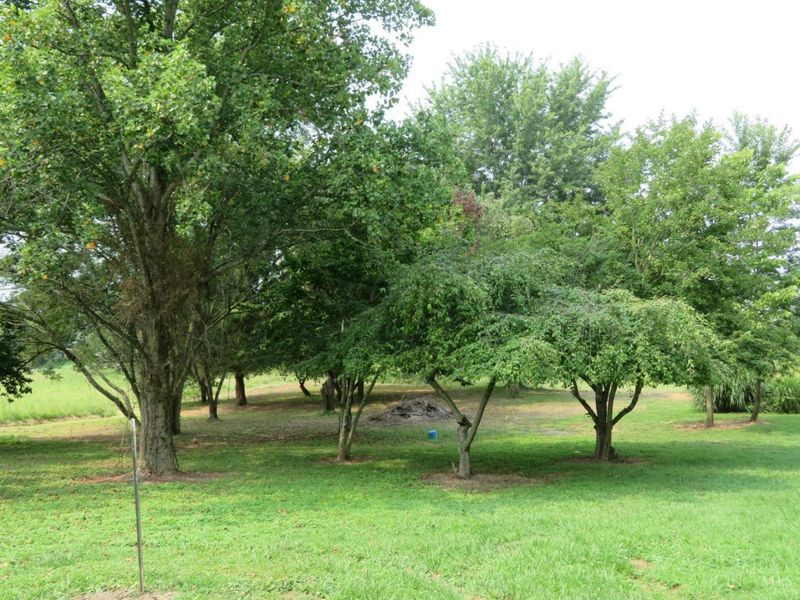 4263 State Route 73, Hillsboro, OH 45133 Photo 38