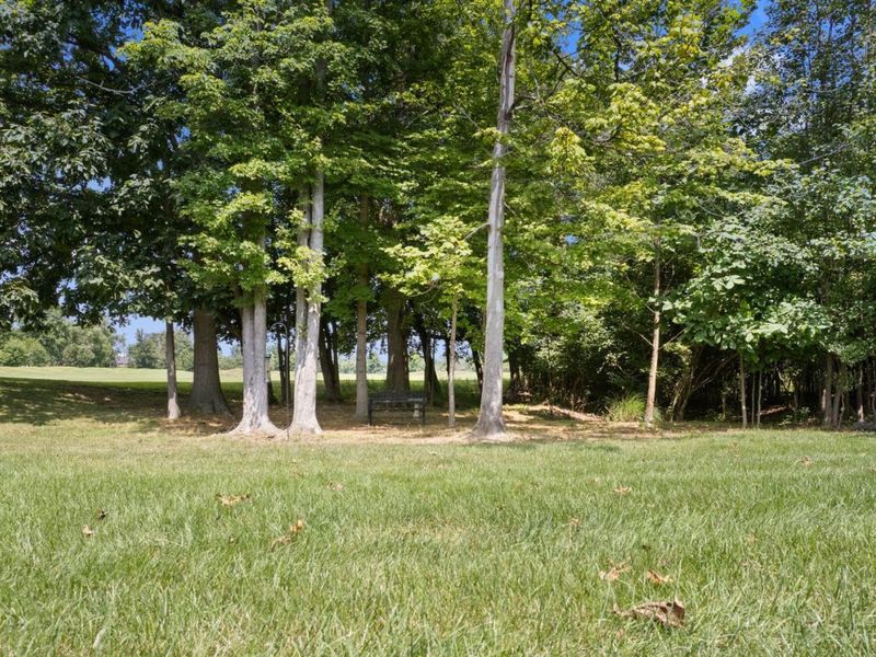 B Greenstone Trace, Loveland, OH 45140 Photo 36