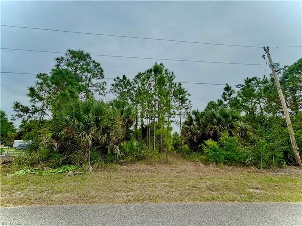 313 Selkirk AVE , LEHIGH ACRES, FL 33974