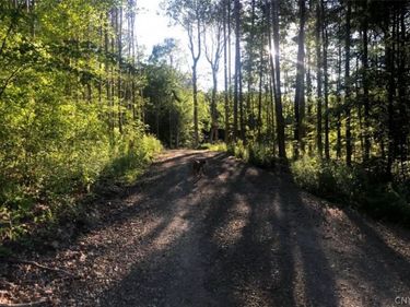 Yellow Barn Road, Freeville, NY 13068
