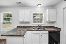363 Colony Lakes Drive  photo 4