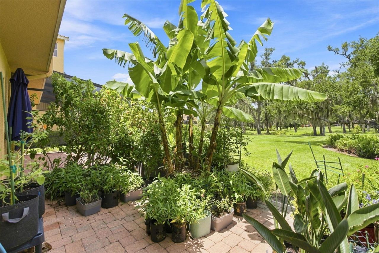 1308 3rd Street Circle E, Palmetto, FL 34221 Photo