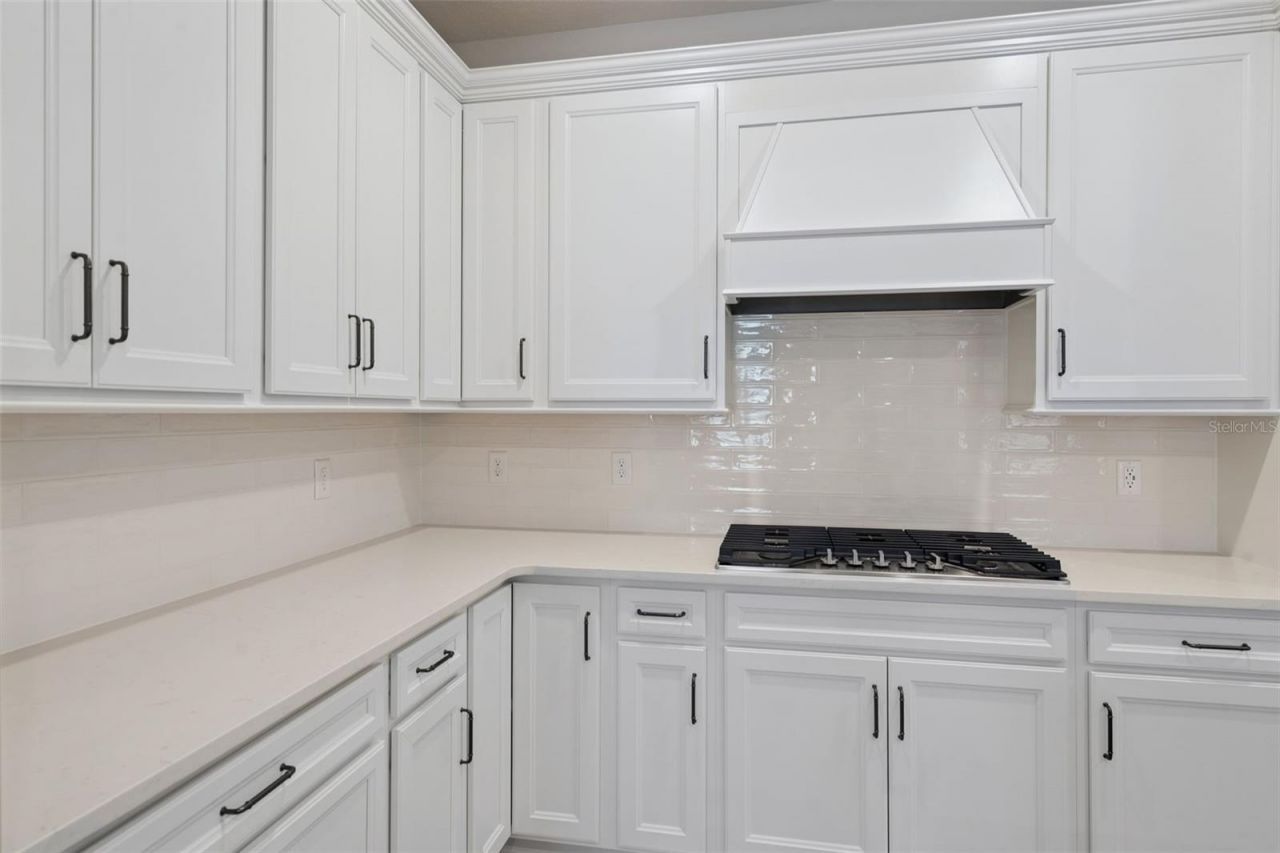 2546 Del Webb Dr, Minneola, FL 34715 Photo