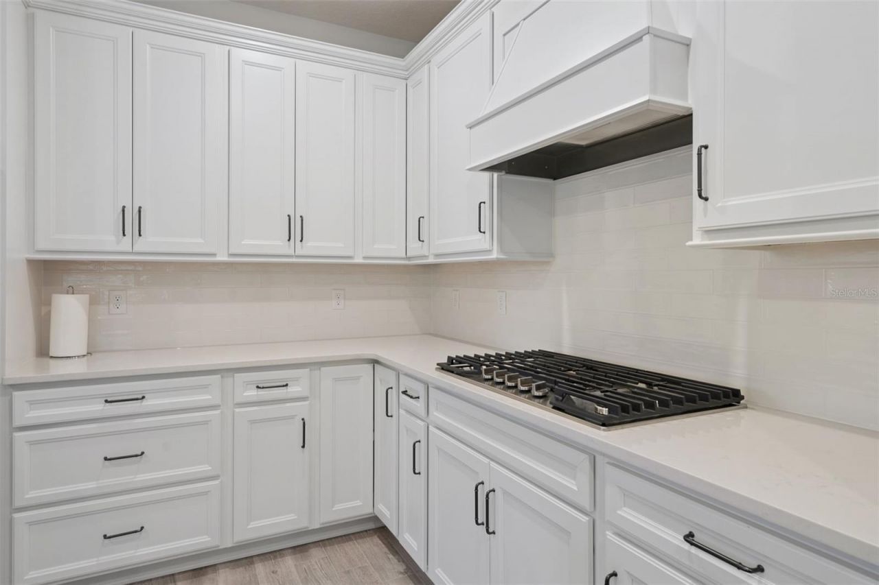 2546 Del Webb Dr, Minneola, FL 34715 Photo