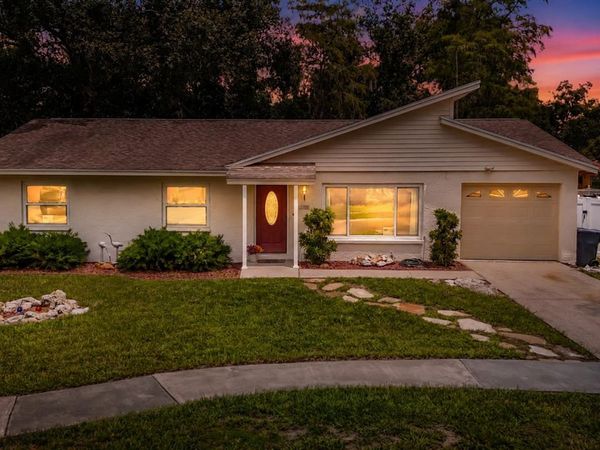 11007 AIRVIEW DRIVE , TAMPA, FL 33625