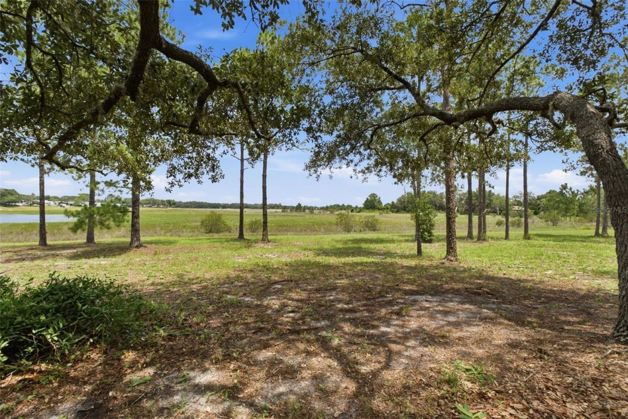 10307 Waters Edge Court, Weeki Wachee, FL 34613 Photo
