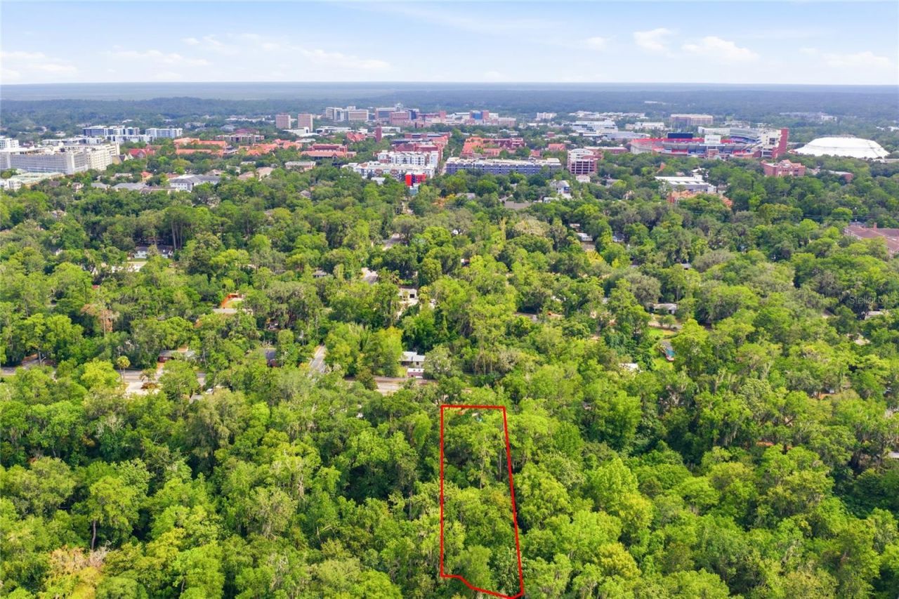 1732 NW 8th Avenue, Gainesville, FL 32603 Photo