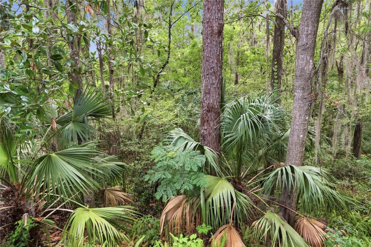 1732 NW 8th Avenue, Gainesville, FL 32603 Photo