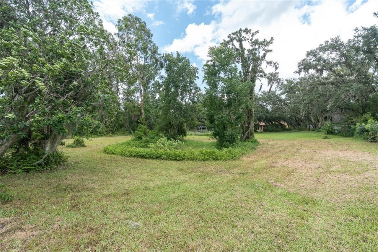 6812 Ridge Top Drive , New Port Richey, FL 34655 Photo